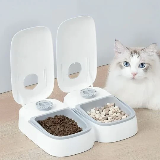 Distributeur automatique croquettes chat | FéliDistri™
