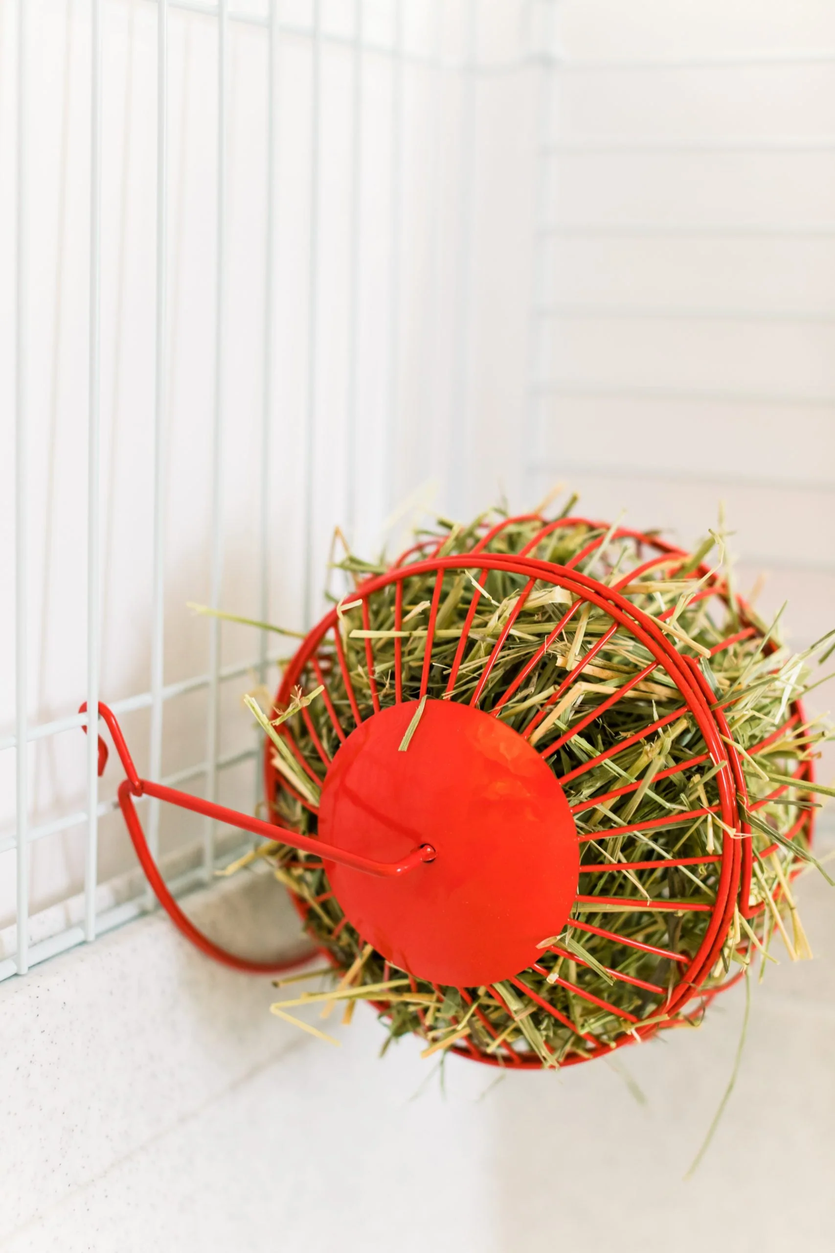 Les Petits Lapins D'Amour - Roulette à Foin - Lapin – Image 4