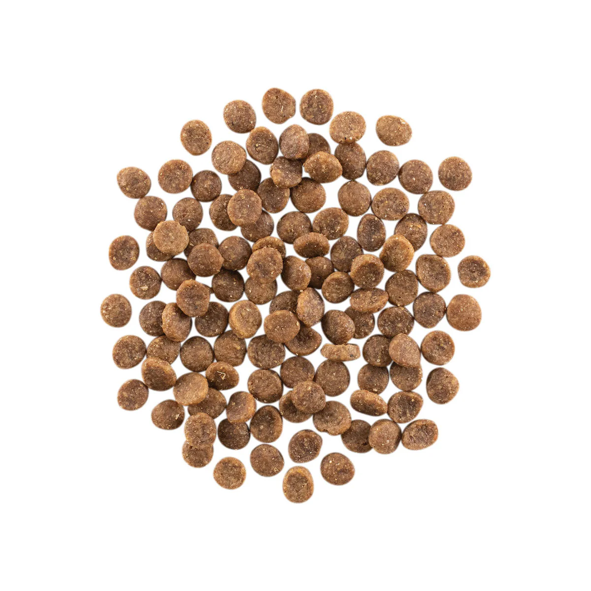 PetCurean GO! Solution - Chat - Carnivore - Saumon et Morue - Sans Grains – Image 2
