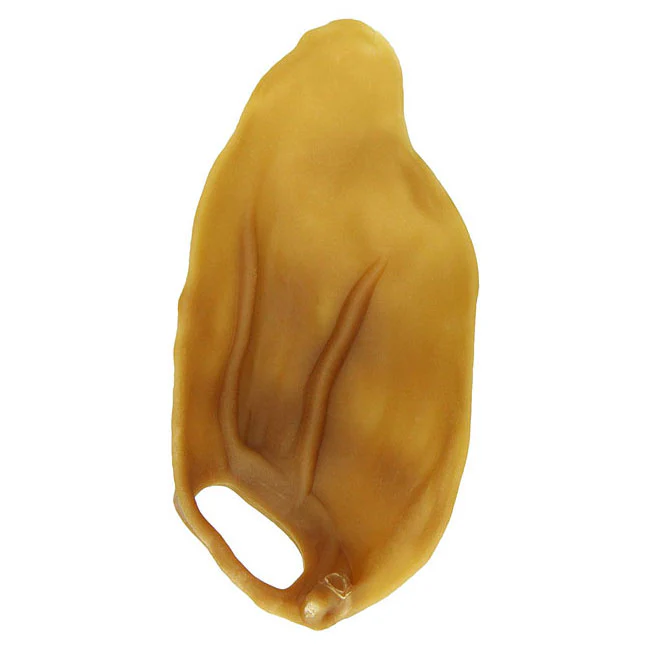 Whimzees - Oreille Vegan (Veggie Ear) - Chien – Image 2