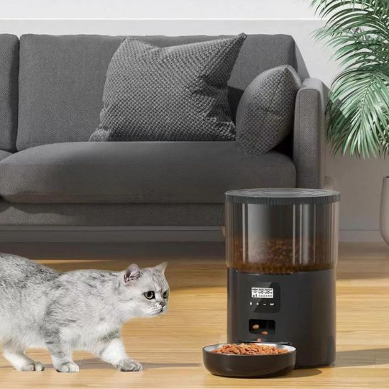 Distributeur croquettes chat automatique | Précis – Image 3