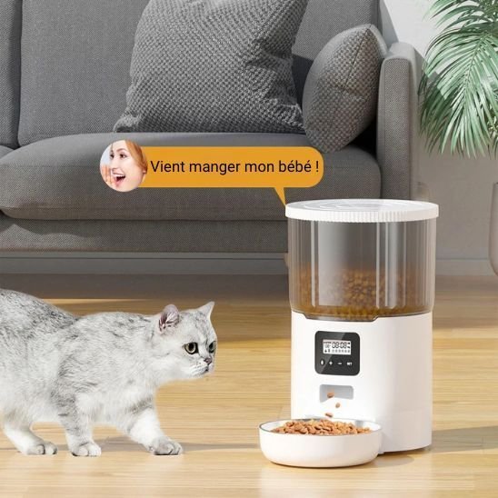Distributeur croquettes chat automatique | Précis – Image 2