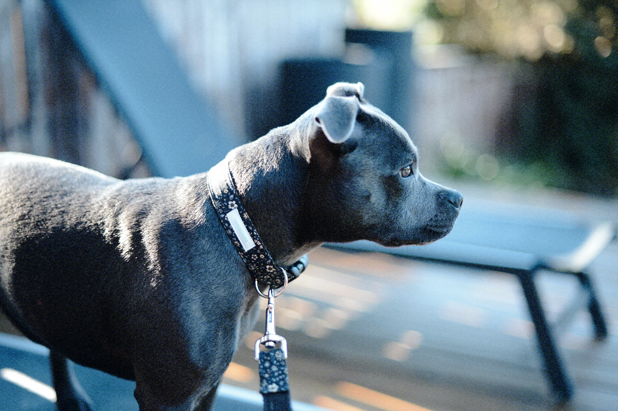 THELMA – Image 2