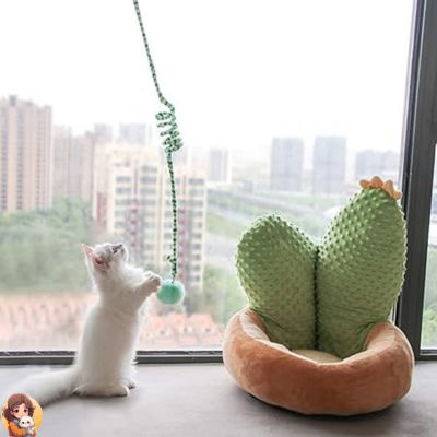 Jouet suspendu pour chats - TOYWIN™