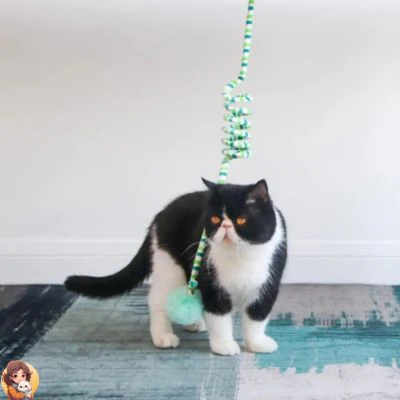 Jouet suspendu pour chats - TOYWIN™ – Image 6