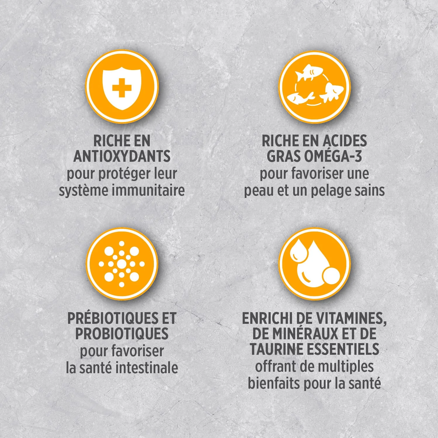 Nutrience - Infusion - Adultes en Santé - Poulet - Chien – Image 3