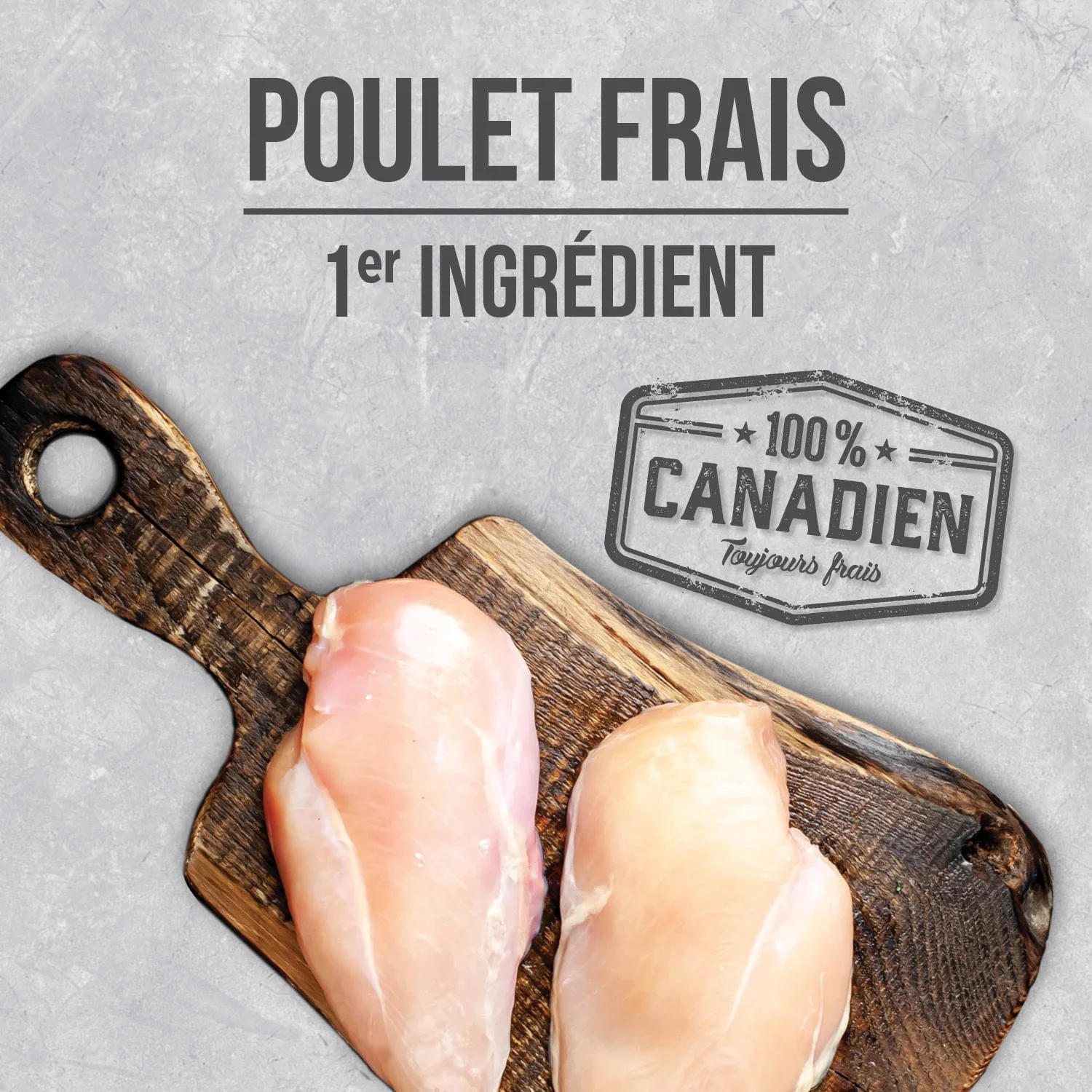 Nutrience - Infusion - Adultes en Santé - Poulet - Chien – Image 5