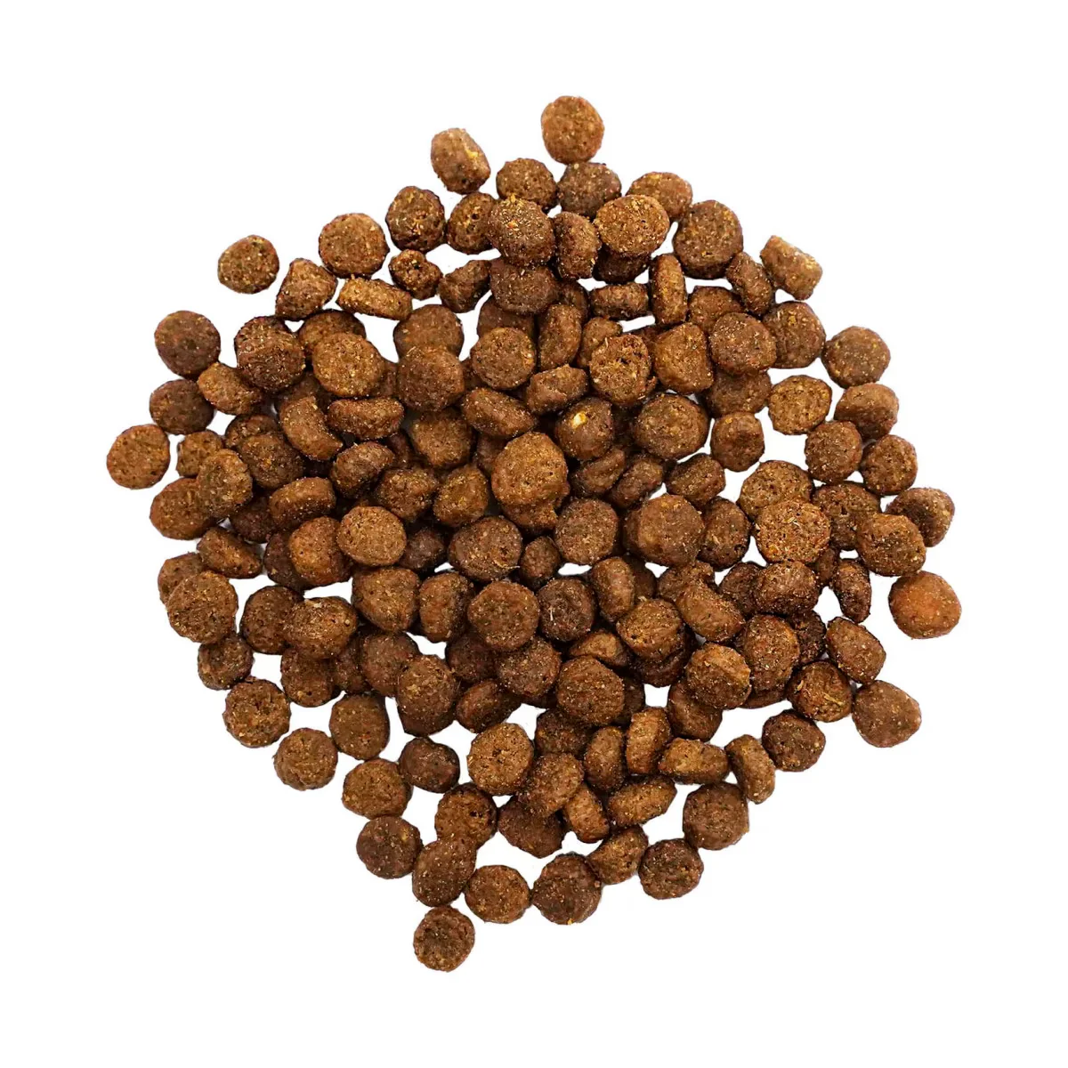 PetCurean GO! Solutions - Chat - Digestion et Santé Intestinale - Recette au Saumon aux Grains Anciens – Image 2