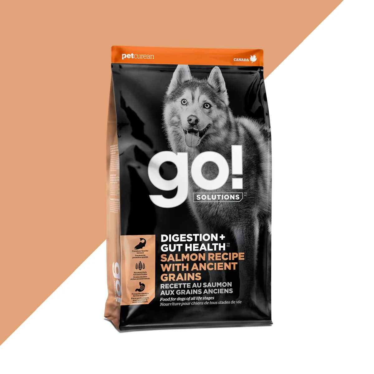 PetCurean GO! Solutions - Chien - Digestion et Santé Intestinale - Recette au Saumon aux Grains Anciens