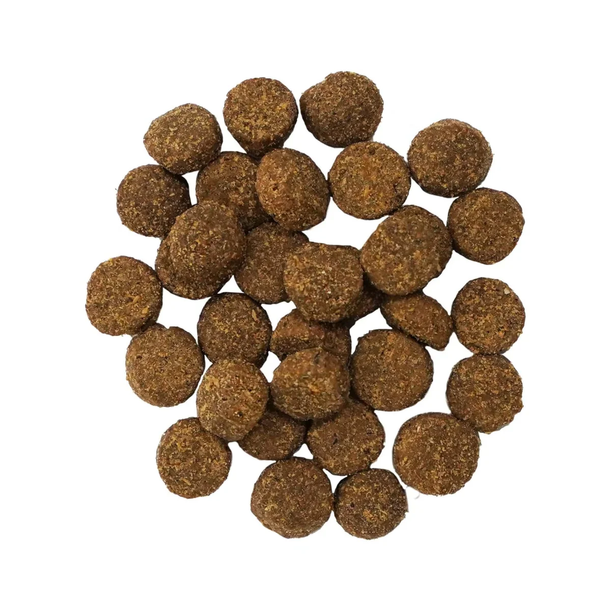 PetCurean GO! Solutions - Chien - Digestion et Santé Intestinale - Recette au Saumon aux Grains Anciens – Image 2