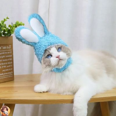 RABBITHAT™ - Accessoire de déguisement pour chat – Image 7